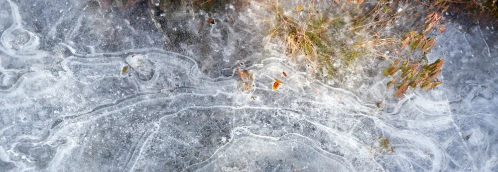 Gefrorener Teich mit Blättern